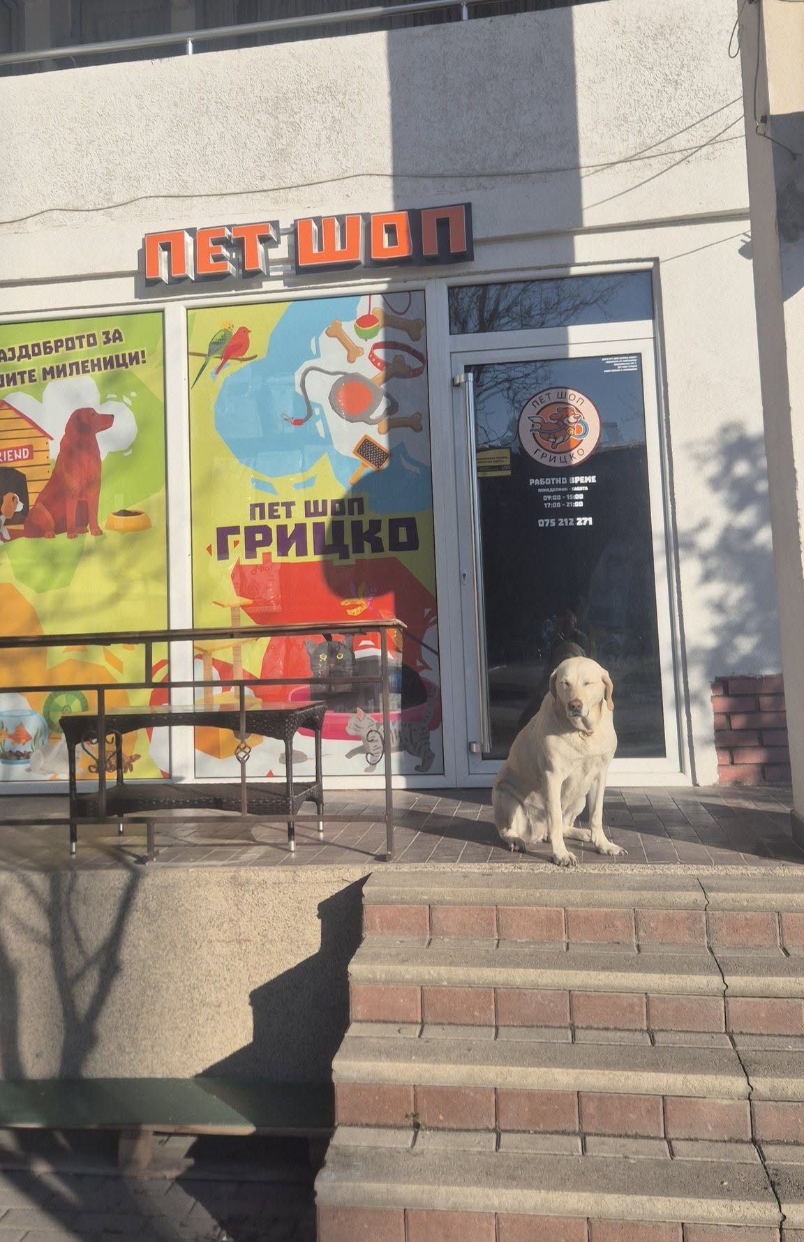 Пет Шоп Грицко in Kavadarci
